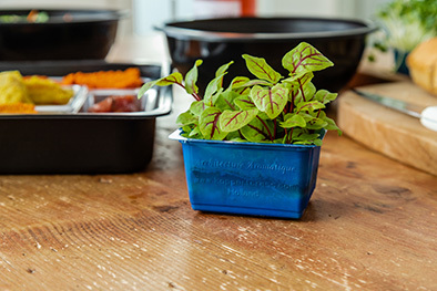 ANL Packaging trays for agriculture