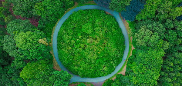 Closed loop vision